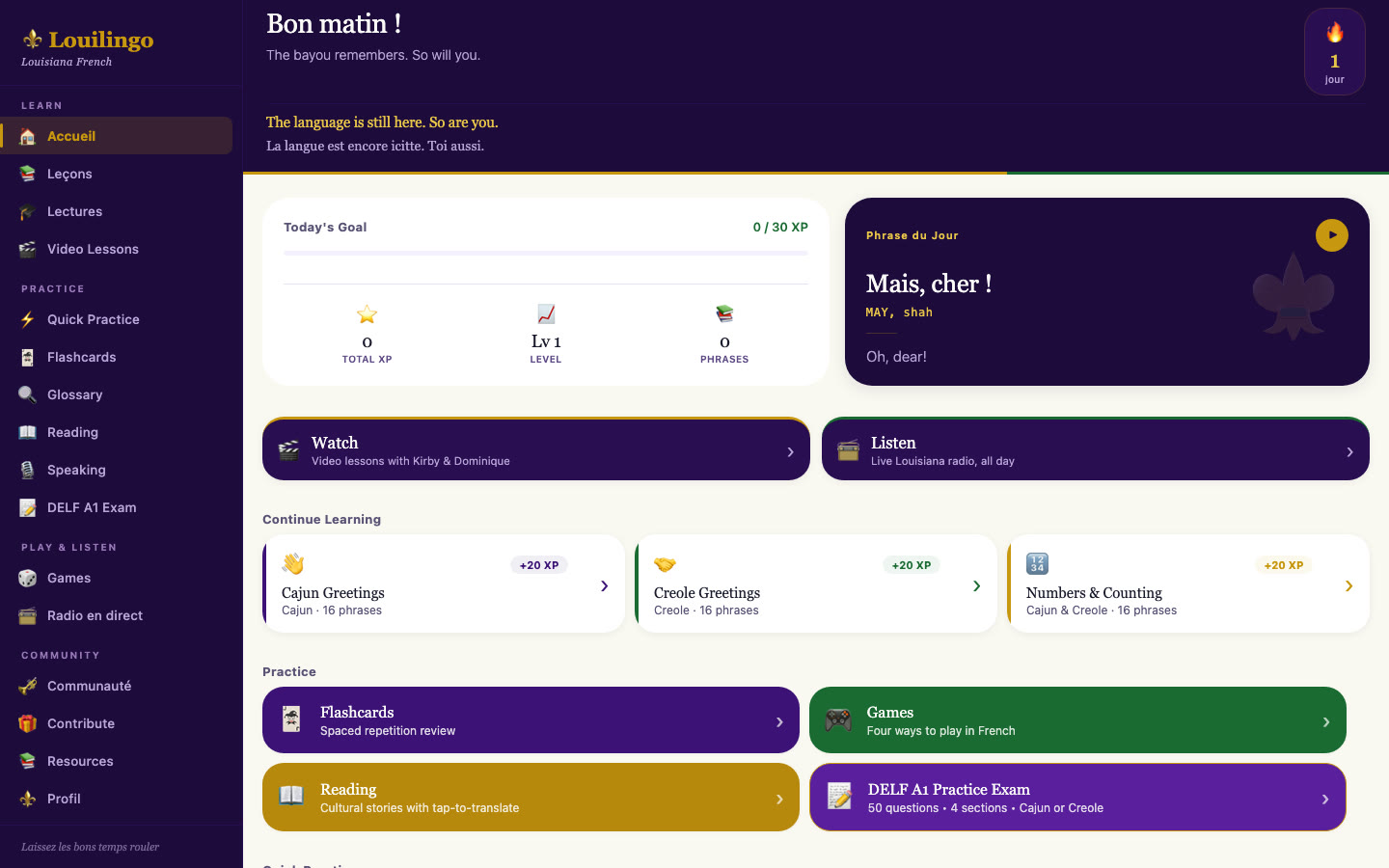 Louilingo home screen on desktop, with sidebar navigation, daily goal, and lesson cards